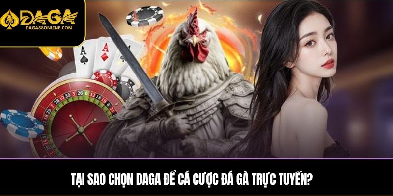 Tại sao chọn DAGA để cá cược đá gà trực tuyến?