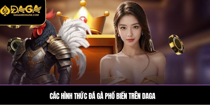 Các hình thức đá gà phổ biến trên DAGA
