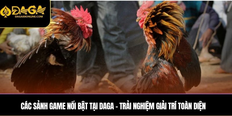 Các sảnh game nổi bật tại DAGA – Trải nghiệm giải trí toàn diện